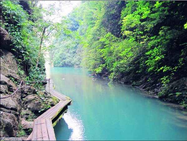 20111025306205966 20111025306205966